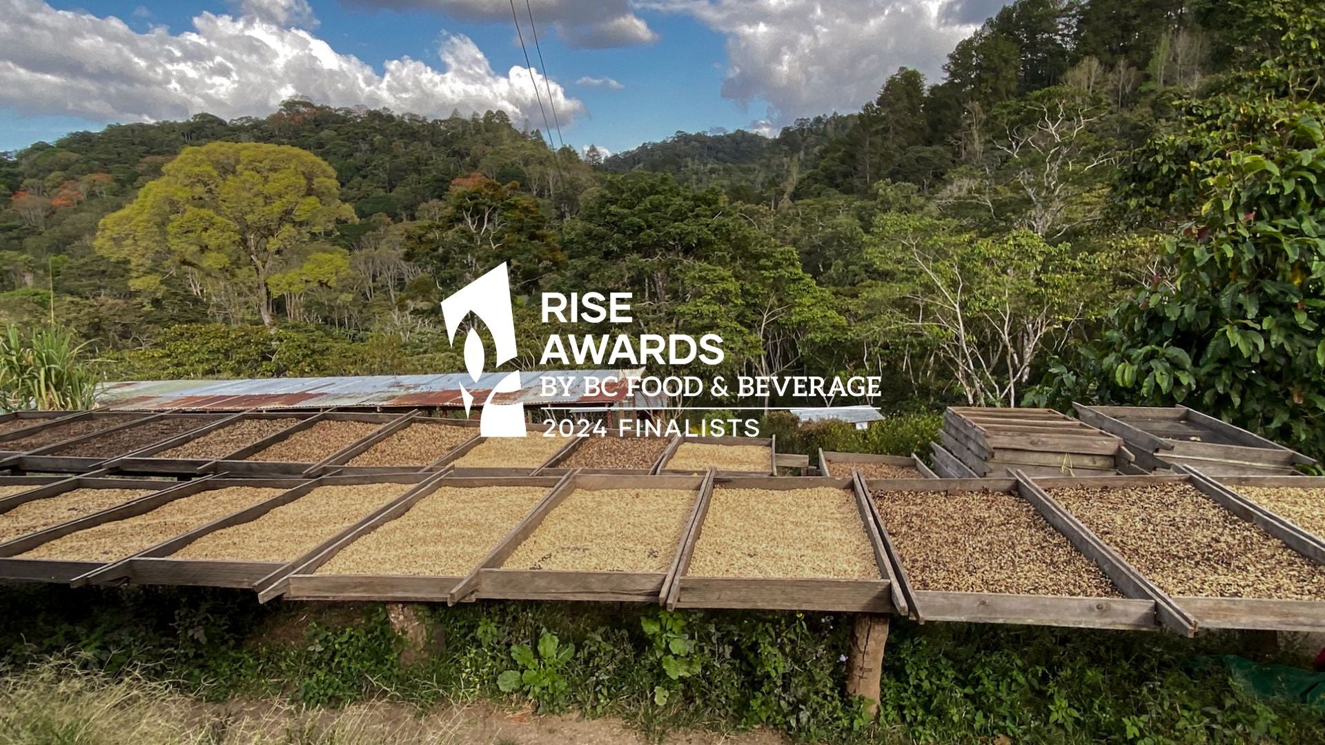 Recognized for Social Impact: We Are Award Nominees!