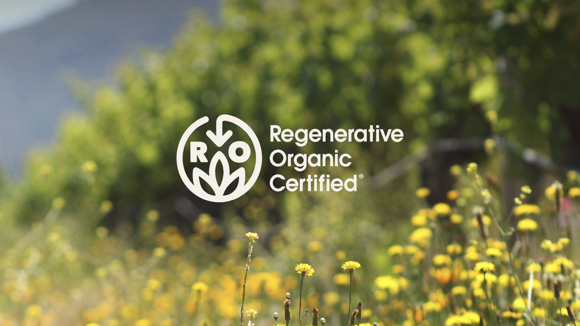 The Regenerative Organic Alliance and What It Means for Coffee